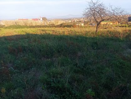 Terreno agricolo pianeggiante