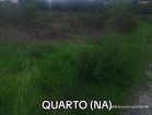 5f87107a-35ae-4ed0-9d0e-85f2808f086d