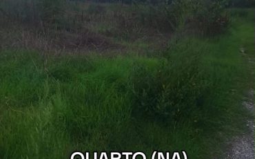 TERRENO AGRICOLO PIANEGGIANTE