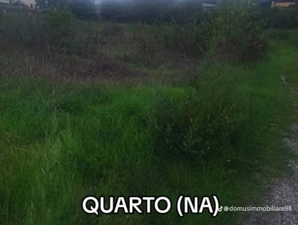 TERRENO AGRICOLO PIANEGGIANTE