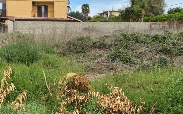 Vendesi lotto di terreno agricolo a Quarto