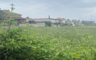 Vendesi lotto di terreno agricolo a Licola