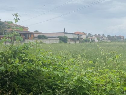 Vendesi lotto di terreno agricolo a Licola